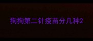 狗狗第二针疫苗分几种