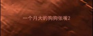 一个月大的狗狗张嘴