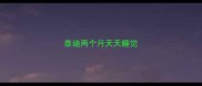泰迪两个月天天睡觉
