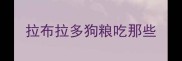 拉布拉多狗粮吃那些