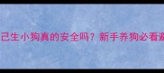 边牧自己生小狗真的安全吗新手养狗必看避坑指南