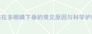 小拉布拉多眼睛下垂的常见原因与科学护理指南