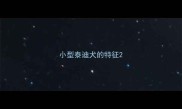 小型泰迪犬的特征