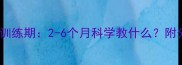 萨摩幼犬黄金训练期2-6个月科学教什么附分龄训练指南