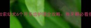 高加索幼犬6个月牙齿护理全攻略换牙期必看指南