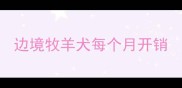 边境牧羊犬每个月开销