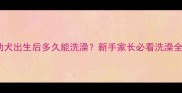哈士奇幼犬出生后多久能洗澡新手家长必看洗澡全攻略