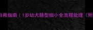 哈士奇细小自救指南1岁幼犬肠型细小全流程处理附真实案例