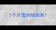 1个月雪纳瑞肩高