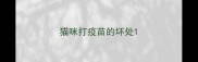 猫咪打疫苗的坏处