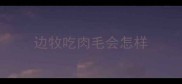 边牧吃肉毛会怎样