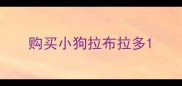 购买小狗拉布拉多