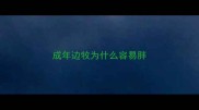成年边牧为什么容易胖