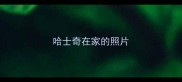 哈士奇在家的照片