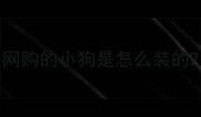 网购的小狗是怎么装的