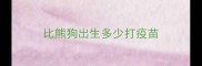 比熊狗出生多少打疫苗
