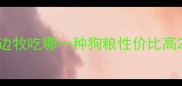 边牧吃哪一种狗粮性价比高