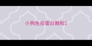 小狗免疫蛋白颗粒