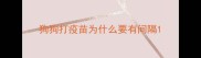 狗狗打疫苗为什么要有间隔
