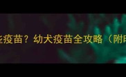 狗狗出生后必打哪些疫苗幼犬疫苗全攻略附时间表与注意事项