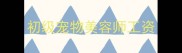 初级宠物美容师工资