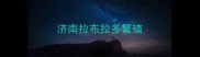 济南拉布拉多繁殖