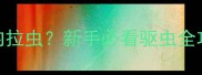 博美幼犬两个月体内拉虫新手必看驱虫全攻略附产品推荐