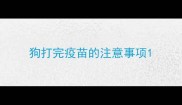 狗打完疫苗的注意事项