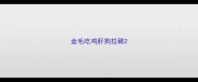 金毛吃鸡肝狗拉稀