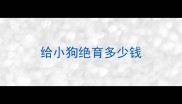 给小狗绝育多少钱
