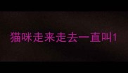 猫咪走来走去一直叫