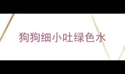狗狗细小吐绿色水