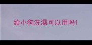 给小狗洗澡可以用吗