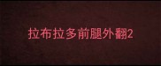 拉布拉多前腿外翻