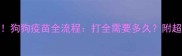 新手必看狗狗疫苗全流程打全需要多久附超全注意事项