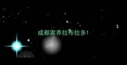 成都家养拉布拉多