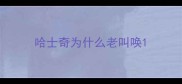 哈士奇为什么老叫唤