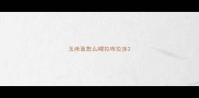 玉米面怎么喂拉布拉多