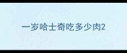 一岁哈士奇吃多少肉