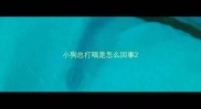 小狗总打嗝是怎么回事
