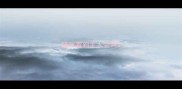 猫咪看到主人会叫