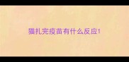 猫扎完疫苗有什么反应
