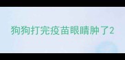 狗狗打完疫苗眼睛肿了