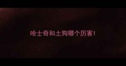 哈士奇和土狗哪个厉害