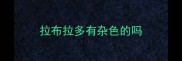 拉布拉多有杂色的吗