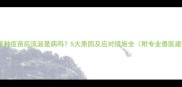 狗狗接种疫苗后流涎是病吗5大原因及应对措施全附专业兽医建议