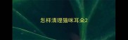 怎样清理猫咪耳朵