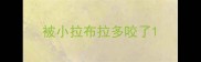 被小拉布拉多咬了