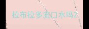 拉布拉多流口水吗