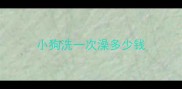 小狗洗一次澡多少钱
